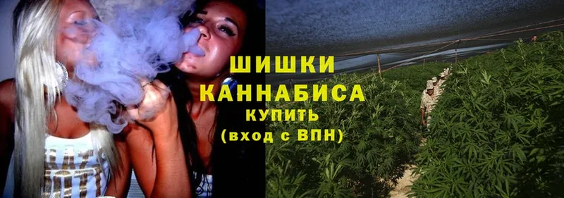 Бошки марихуана OG Kush  Энем 